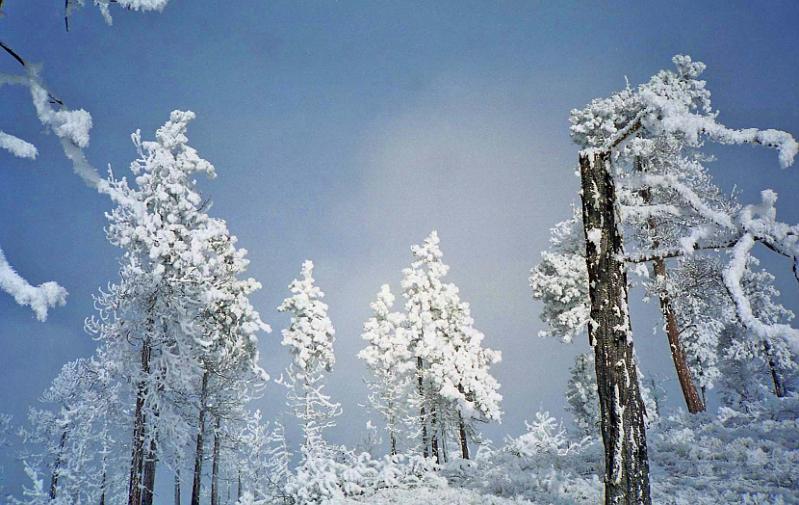 1998-01 Mark and Lizs Place Chelan 05.jpg